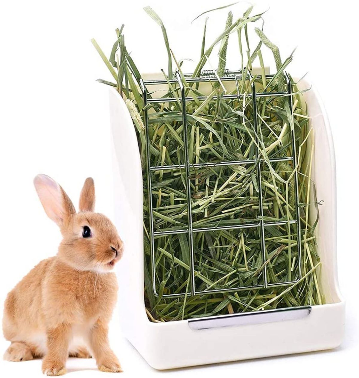 Heno Pangola para Conejos y Roedores 100 g